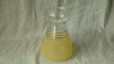 Vase jacinthe verre d'occasion  Mont-Saint-Aignan