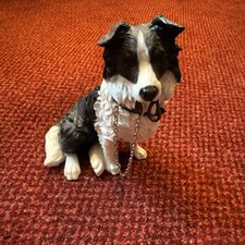 Dog studies leonardo for sale  WOKINGHAM