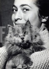 Vintage gatto persiano usato  Roma