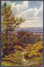 Hampstead heath .r.quinton for sale  SUNBURY-ON-THAMES