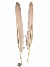 long peacock feathers for sale long peacock feathers for sale Cass City