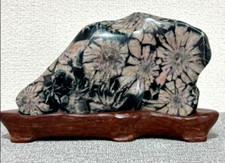 Pedra japonesa BONSAI SUISEKI pedra de crisântemo sete flores rosa pálido comprar usado  Enviando para Brazil