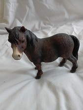 Leonardo shetland pony for sale  ST. LEONARDS-ON-SEA