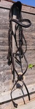 Ecorider freedom grackle for sale  RIPON