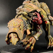 Well painted kroot for sale  New York