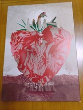 Fragola velenosa usato  Spedire a Italy