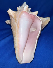 Genuine pink polished for sale  Clarence
