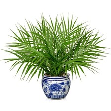Large artificial potted for sale  Brentwood