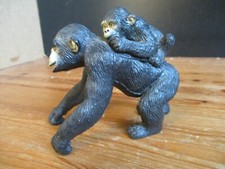chimpanzee for sale chimpanzee for sale DUDLEY
