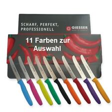 Giesser univeralmesser allzwec gebraucht kaufen  Hattingen