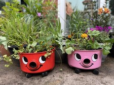 Flower pot flower for sale  SPALDING