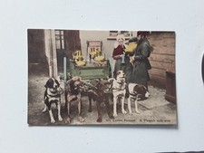 Cpa attelage chiens d'occasion  Le Cannet