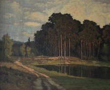 Waldsee landschaft brandenburg gebraucht kaufen Waldsee landschaft brandenburg gebraucht kaufen  Berlin