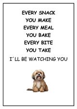 Lhasa apso watching for sale  DUNSTABLE