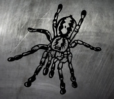 Vogelspinne tarantula aufklebe gebraucht kaufen  Papenburg