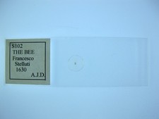 Vintage microscope slide for sale  BRISTOL