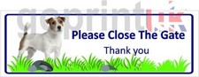 Jack russell terrier for sale  UK