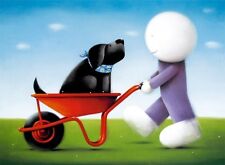 Doug hyde daisy for sale  STAFFORD
