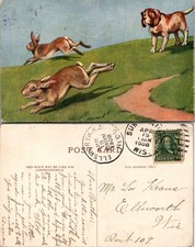 Hunting dog chasing for sale  Mansfield