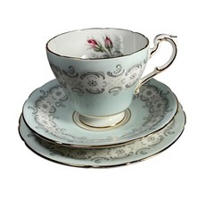 Paragon radstock china for sale  BURNLEY