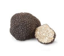 100g tartufo nero usato  Sasso Marconi
