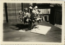 Photo ancienne vintage d'occasion  Paris XI
