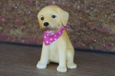 Puppy dog myma for sale  Colorado Springs