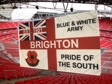 Brighton hove albion for sale  WORCESTER