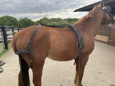 Pony driving harness for sale  LEATHERHEAD