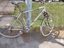 apollo guru for sale apollo guru for sale BARNSTAPLE
