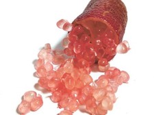 Australian red lime for sale  Alapaha