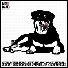 Rottweiler rottie dog for sale  Oregon