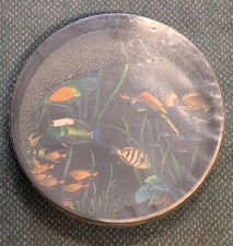Remo ocean drum for sale  Grafton