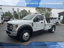 2019 ford 450 for sale  Branchville