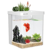 Smart betta fish for sale  West New York