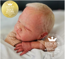Alessandro reborn baby usato  Spedire a Italy