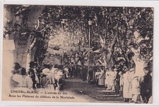 Postcard cheval blanc d'occasion  Expédié en Belgium