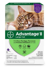 Advantage large cats for sale  Houston