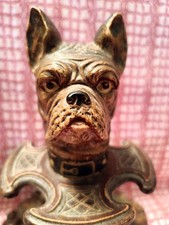French bull dog for sale  Eden Prairie
