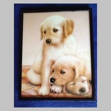 Three puppies framed for sale  Darien