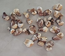 Lot elk whistlers for sale  Belgrade