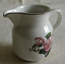 Villeroy boch pot d'occasion  Arras
