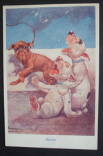 Studdy dog comic for sale Studdy dog comic for sale  HUNTINGDON