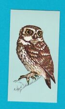 British birds tetley for sale  CANTERBURY