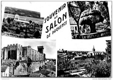Salon provence souvenir d'occasion  Expédié en Belgium