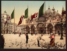 Feeding pigeons marks for sale  UK