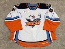 San diego gulls for sale  Merchantville