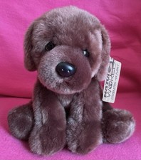 Natural chocolate brown for sale  CHATTERIS