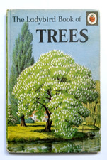 Choice ladybird nature for sale  SUTTON COLDFIELD