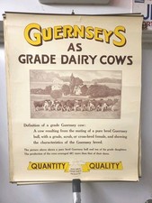 1920s golden guernsey for sale  North Wilkesboro